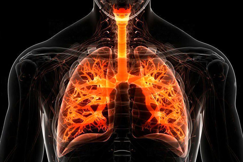 Pulmonology